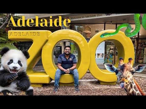 Adelaide Zoo | Exotic Animals | Wild Animals Tour