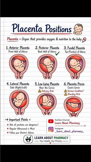Placenta Positions Explained | Types of Placenta & Placenta Previa Risk | Learn About Pharmacy
