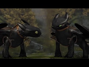 The NightFury's Story