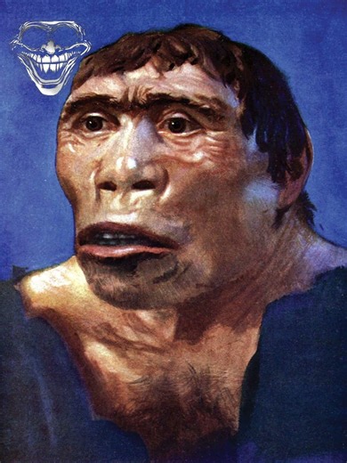 The Return Of Java Man