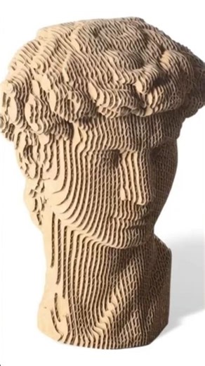 cardboard face illusion #craft #shorts #cardboard