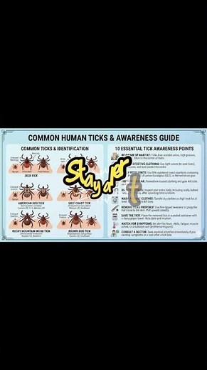 How to Spot & STOP Ticks Before They Bite! 🛑 (Essential Guide)