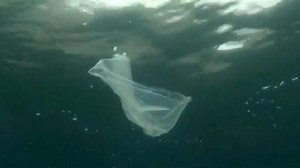 Plastic Free July: What people can do to avoid single-use plastic, work toward ending plastic waste