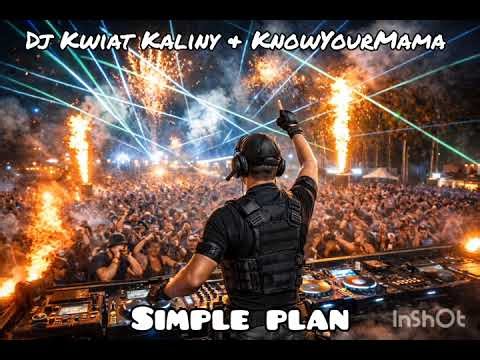Dj Kwiat Kaliny KnowYourMama - Simple plan (Remix 1)