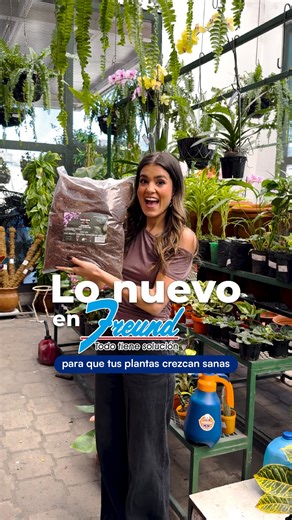 🪴 Lo nuevo en Freund para que tus plantas crezcan sanas 😉 🪵🌷 Con estos sustratos, listos para usar, cuidas de ellas y haces la diferencia. Encuéntralos solo en #Freund:🔗https://sge.st/freundlonuevo ¡Todo tiene solución! #LoNuevoEnFreund #Jardinería #TodoTieneSolución | Freund El Salvador