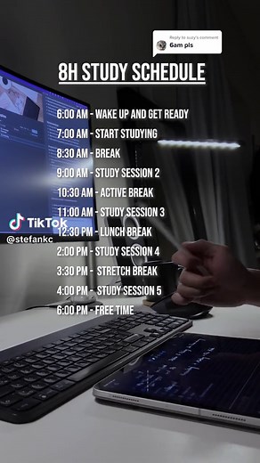 Study Schedule Ideas for College Students