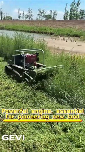 A flail mower is a great helper for weeding. #mowing #weeding#mower #lawnmower #lawncare #funny