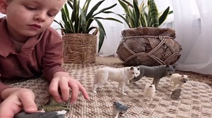 Wolf Bundle | 8-Piece Arctic, Grey & Black Wolf Figurines | Lifelike Wildlife Playset for Enthusiats & Collectors | Seasonal Animal Display Set