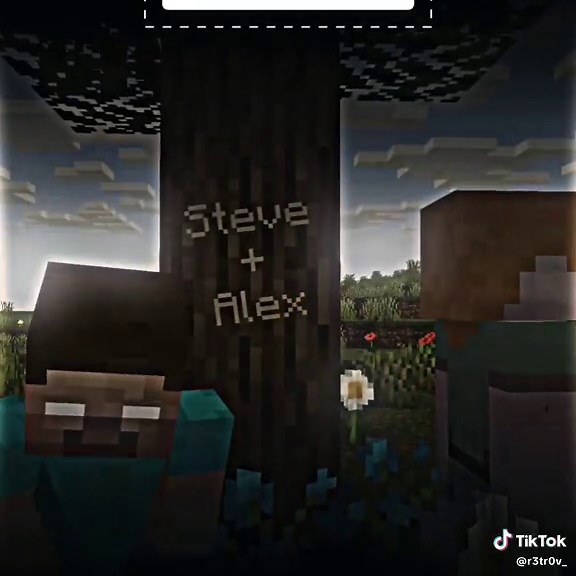 Steve & Alex Love Story | Minecraft Animation