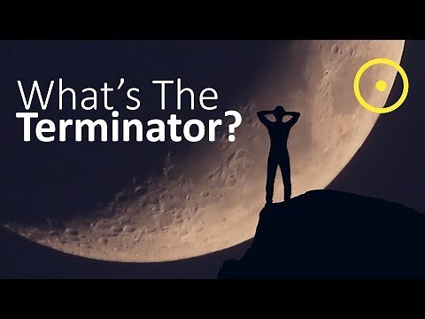 What Is The Terminator