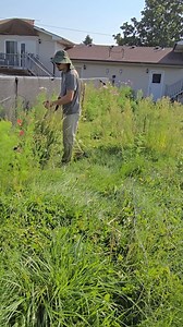 25K views · 1.1K reactions | Crazy Messy Yard Cleanup  #fyp | Fill's Lawn Care | Facebook