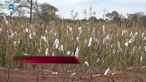 4.6K views · 81 reactions | Zambia Secures $688M for Climate...