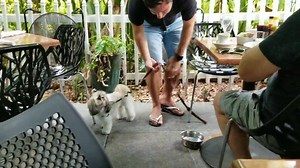 7.1K views · 117 reactions | NICK.........IS GOING FISHING Sarabeth's Key West | FishMonster Key West | Facebook