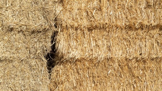 Export hay price announcements are welcome news for growers