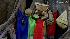 47 reactions | Do you want to know more about The Gambia, its people,...