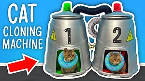 惊人的猫咪幻象！ - Half-Asleep Chris