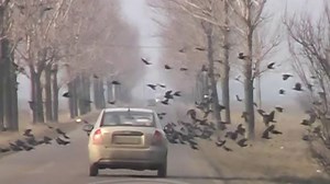 Imagini apocaliptice pe un drum judetean. Doar intr-un film celebru ai mai vazut asa ceva