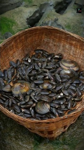 A special dish made from the meat inside black mussels