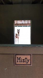 5.6K views · 840 reactions | Beautiful. | Jess Walton | Facebook