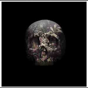 Cool lenticular image of a floral skull by @MagnusGjoen, courtesy @hangupgallery. Check out more of his work on HiFructose.com. #magnusgjoen #HiFructose #art #lenticular #skull #macabre #digitalart | Hi-Fructose Magazine