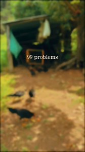 162K views · 2.9K reactions | ❤️‍啕 | 퐑퐀퐍퐂퐇퐎 퐂퐑퐈퐀퐃퐄퐑퐎 퐂퐀퐂퐀퐎'퐒 | Facebook