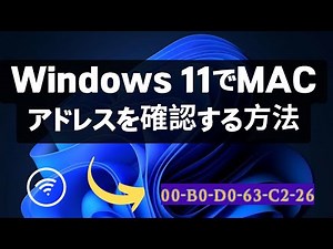 2024 年の Windows 11 で MAC アドレスを確認する方法 |短くて簡単