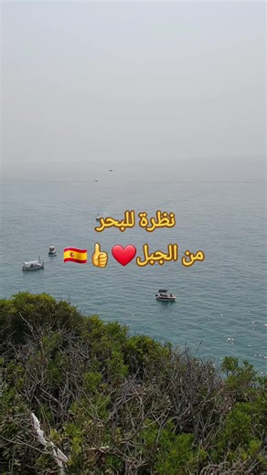 BrunoBarçaAmsterdam on TikTok