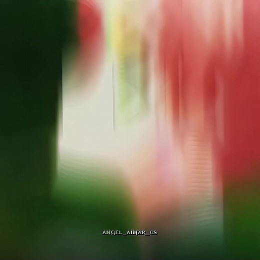 Sailor Jupiter Anime Edit