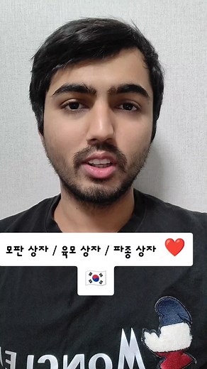 모판과 파종 상자의 차이점 이해하기