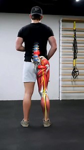 💥 Herniated Disc Rehab 😨 Suffering from back pain? Pain gets worse when bending forward, coughing or sneezing? Here’s how to recover a herniation in 3 stages: 1️⃣ Reverse Decompression If you’re in a lot of pain, this can help decompress your lumbar discs, easing pain. 2️⃣ Advanced Press Up This one will help reduce your disc herniation and help your symptoms centralize. 3️⃣ Banded Good Morning This will help bulletproof your low back, reducing chances of your pain reocurring. ✅ And if you wan