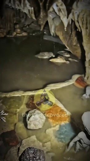 71K views · 769 reactions | #AlienDiscovery #antarcticasecrets #extraterrestrial #UFO #theundiscovered | the undiscovered | Facebook