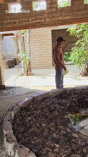 Mezcal Fermentation Process #mezcal #agave