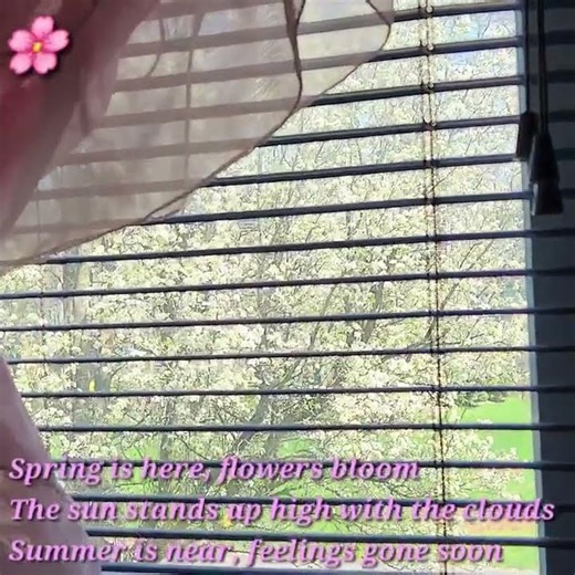 Spring Haiku🌸 @MultiDollsCreatives #poetry #haikupoem #poemistheart #spring #poetsofyoutube