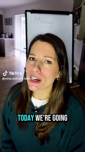 Understanding the Calvin Cycle for A-Level Biology