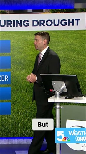 Mow your lawn higher: Your secret weapon against drought