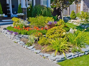 15 immergrüne Bodendecker – Die schönsten Sorten für Deinen Garten