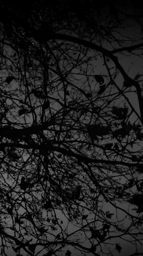 ‏#سيف_نبيل #اكسبلورر #r___ifh #تصميمي @Saif Nabeel