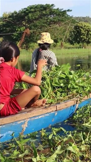 Daily Cambodian Life in the Village| | Khmer Lifestyle [ Khmer rural post ]