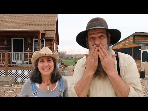 The worst four days on the Homestead THEN THIS HAPPENED!