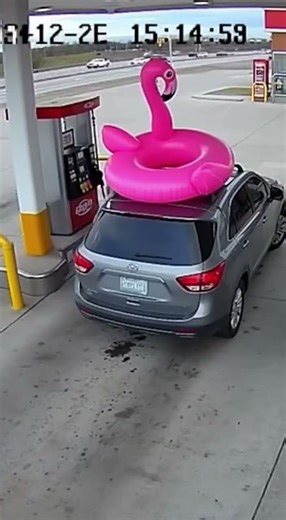 Gas Station Cam: Inflatable Flamingo Escape