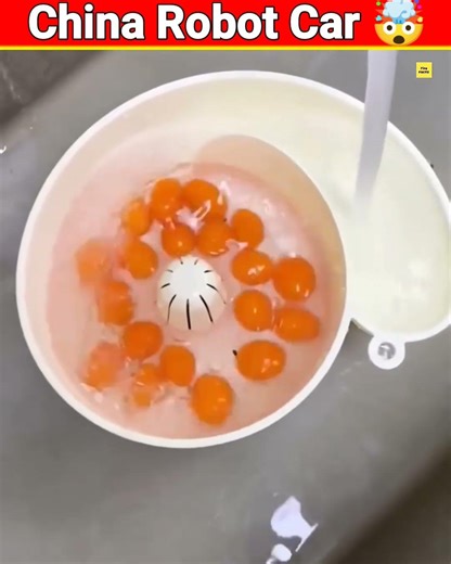 China Robot Car 🤯 Fruits Washing Machine 😱@MRINDIANHACKER @CrazyXYZ #shorts #facts #india