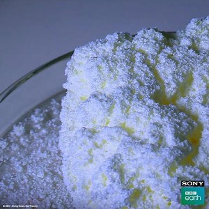 104K views | Many of us might be familiar with ‘bone grafting’ - a...