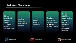 Musculoskeletal MSK Radiology Case: Can You Diagnose Femur Lesion