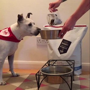 Try a Free 1 Month Trial of Tailor-Made Dog Food, Worth Up to £40. That's One Less Thing to Worry About This Christmas (£1p&p) | tails.com
