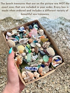 Genuine Sea Glass Beach Treasure Beach Glass Sea Pottery Beach Decor Beach Stones Shell Bulk Mermaid Treasure Box Sea Ceramic Seaglass - Etsy