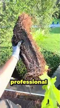 Why Gutter Cleaning Costs $300 in the US! 🤯 #shorts #lifehacks #discovery