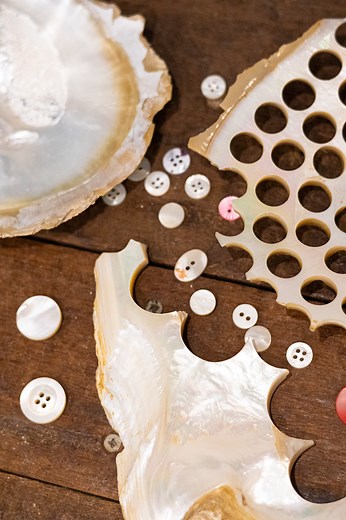 Broome’s early economy was built on the pearling industry. In the late 19th and early 20th centuries, it became the world’s largest exporter of mother of pearl, used to make buttons before plastic. Today, mother of pearl has other fascinating uses, such as being utilised within the biotech industry, where groundbreaking medical advancements are being made. Our partners at Marine Biomedical have developed the patented technology of PearlBone; a natural bone substitute made from pearl shell - a tr
