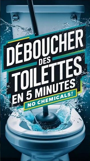 How to Unclog a Toilet in 5 Minutes WITHOUT Chemicals! (Pro Method)
