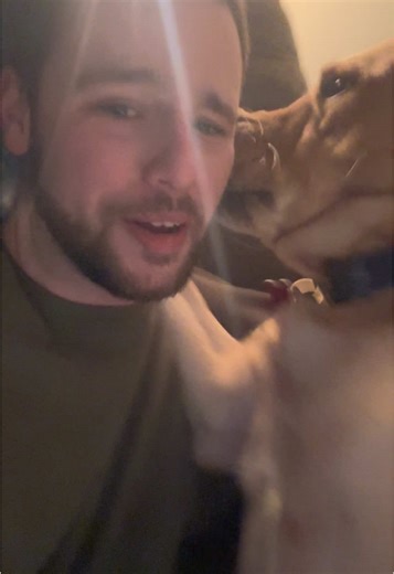 How to Stop Your Dog from Being Annoying