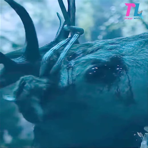 1K views | best action series on netflix 2024 | Ðao Tv | Facebook